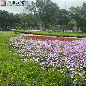 人日屄现场视频
